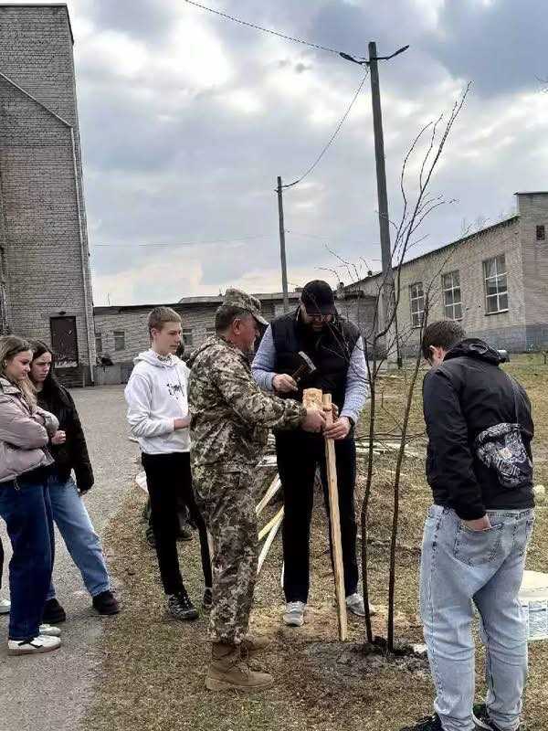 На території Соснівського ліцею висадили алею «Дерево ветерана»