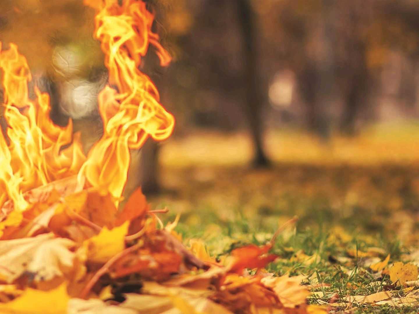 ШАНОВНІ  ГРОМАДЯНИ!  Нагадуємо про заборону спалювання сухої трави, залишків рослинності, сміття та побутових відходів; розпалювання багаття в лісових масивах.